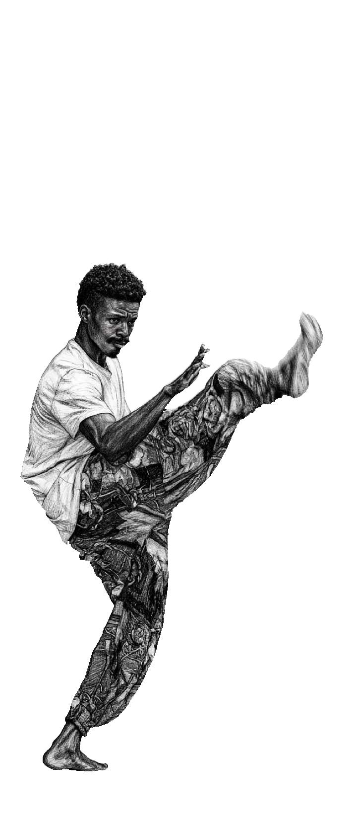 Karate kick 1
